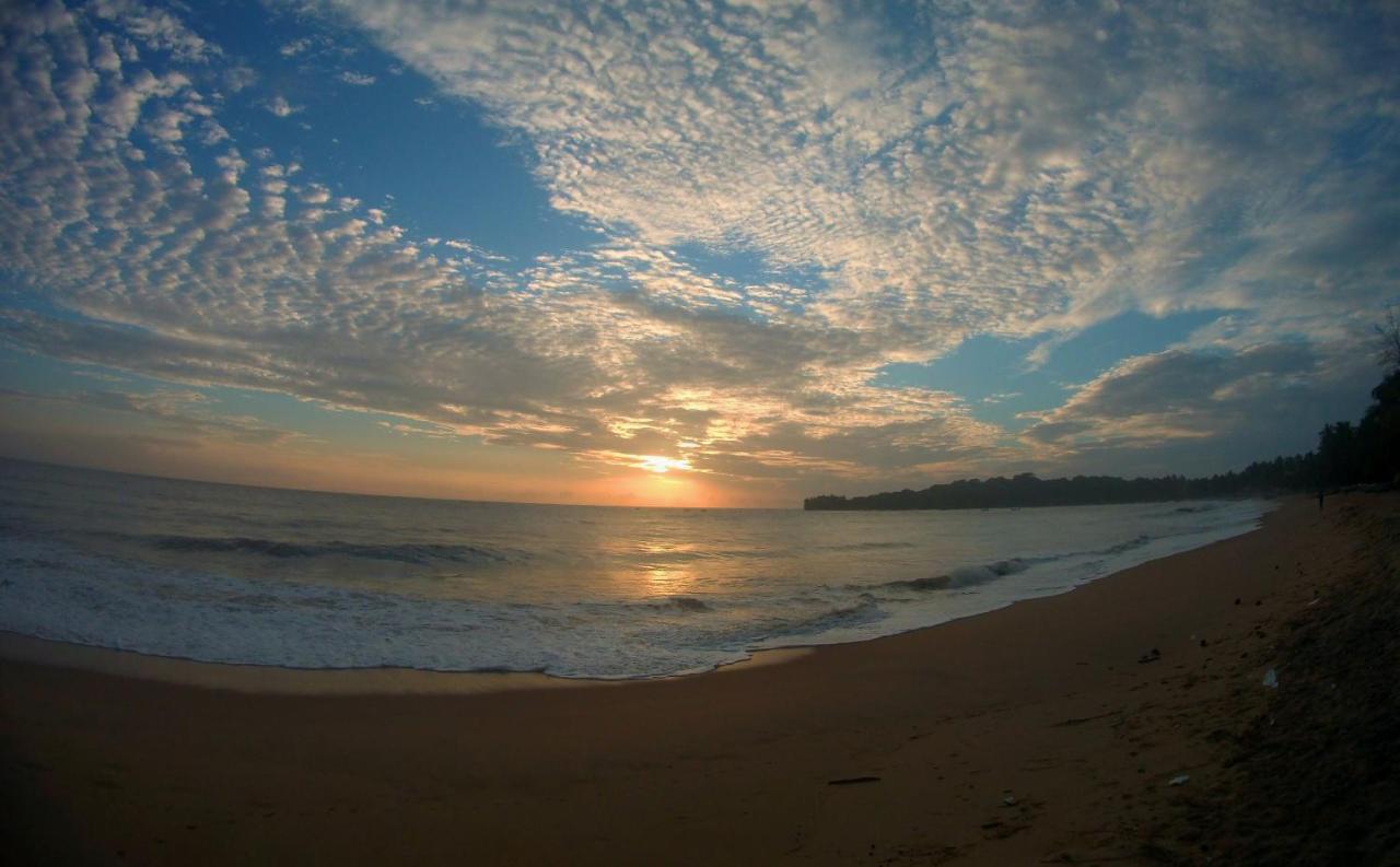 Hotel Feel The Waves Arugam Bay Esterno foto